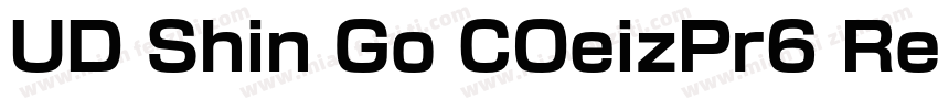 UD Shin Go COeizPr6 Reg字体转换